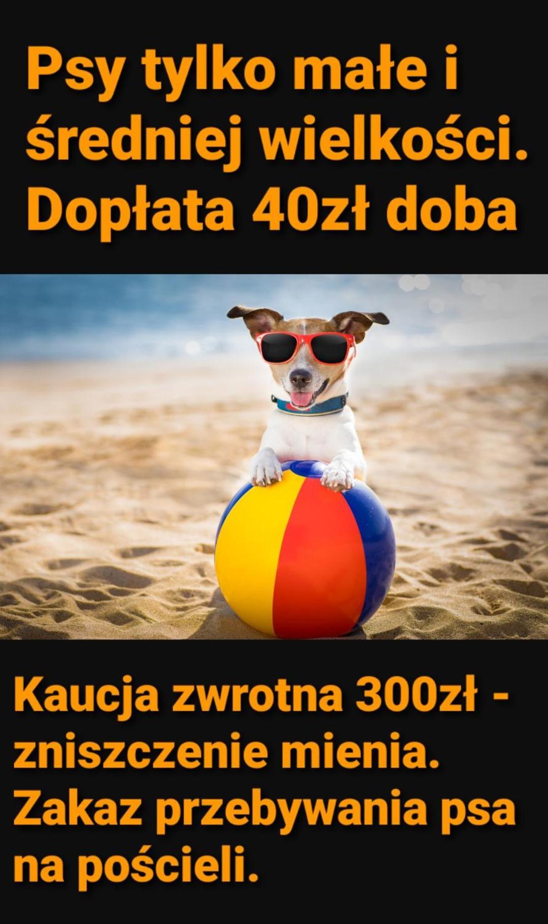 Pokoje Sandra I Łeba Exterior foto